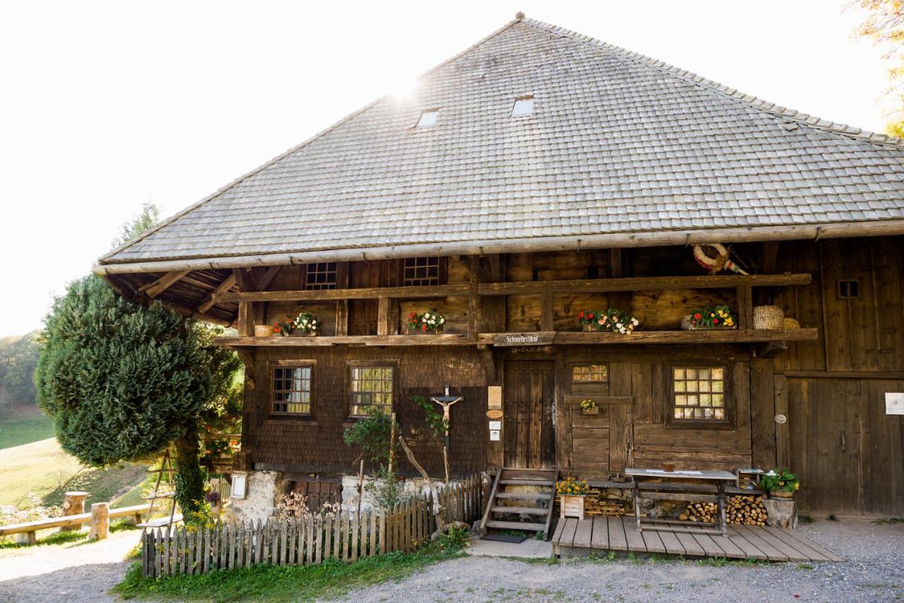 Berghaus Freiburg - Appartement Hotel Auf Dem Schauinsland Оберрид Экстерьер фото